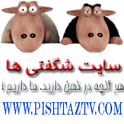 MSC MSC