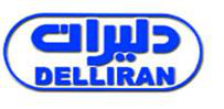 نمایندگی شرکت دلیران نمایندگی شرکت دلیران