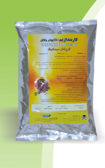 طراحان آفتاب طراحان آفتاب