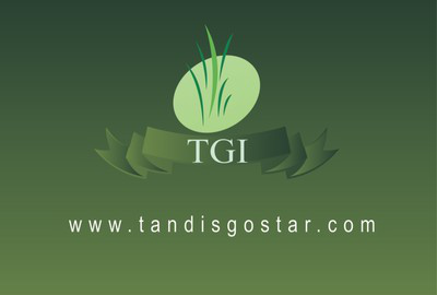 تندیس گستر ایرانیان تندیس گستر ایرانیان