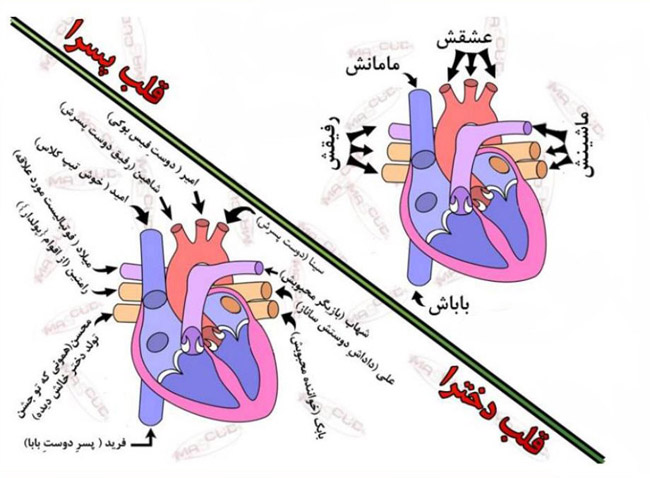 تعاونی افراچوب بوکان تعاونی افراچوب بوکان
