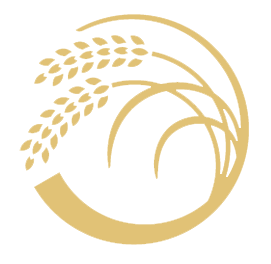 برنج گیلان و شالیکوبی مروارید شالیزار برنج گیلان و شالیکوبی مروارید شالیزار